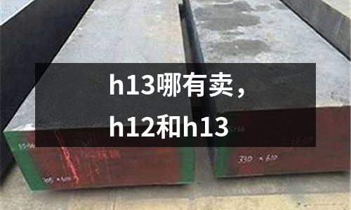 h13哪有賣，h12和h13