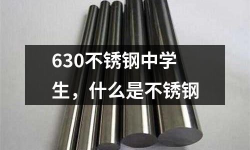 630不銹鋼中學生，什么是不銹鋼