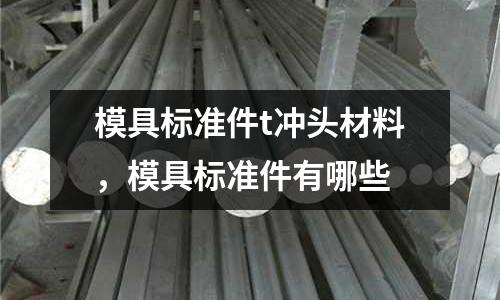模具標(biāo)準(zhǔn)件t沖頭材料,模具標(biāo)準(zhǔn)件有哪些