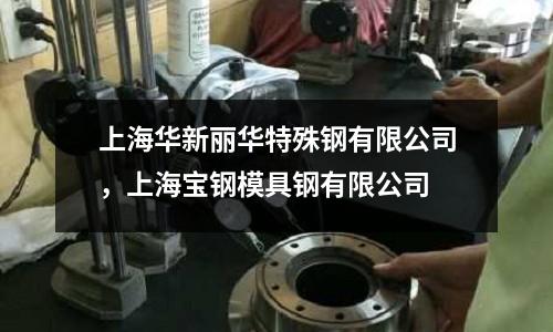 上海華新麗華特殊鋼有限公司,上海寶鋼模具鋼有限公司