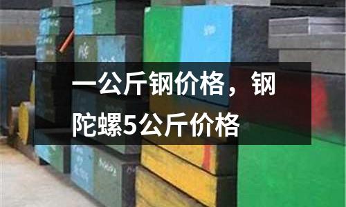 一公斤鋼價格，鋼陀螺5公斤價格