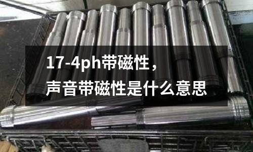 17-4ph帶磁性，聲音帶磁性是什么意思