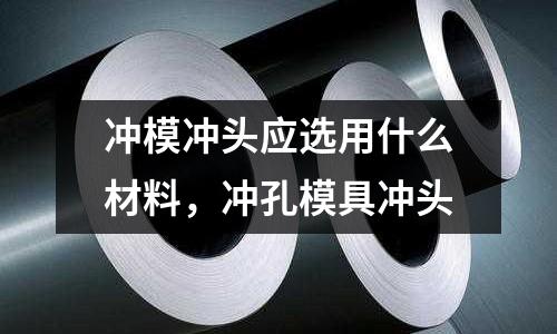 沖模沖頭應(yīng)選用什么材料,沖孔模具沖頭