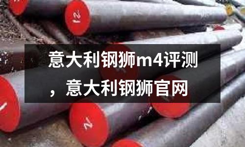 意大利鋼獅m4評測，意大利鋼獅官網