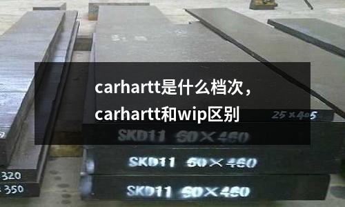 carhartt是什么檔次,carhartt和wip區別