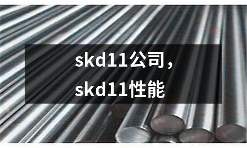 skd11公司,skd11性能