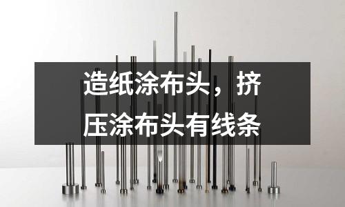 造紙涂布頭,擠壓涂布頭有線條