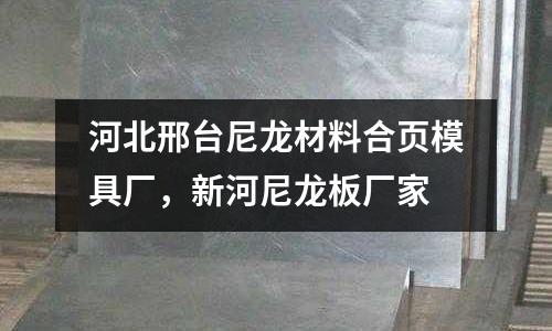 河北邢臺尼龍材料合頁模具廠，新河尼龍板廠家