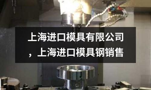 上海進口模具有限公司,上海進口模具鋼銷售