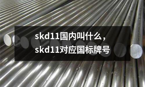 skd11國內叫什么，skd11對應國標牌號