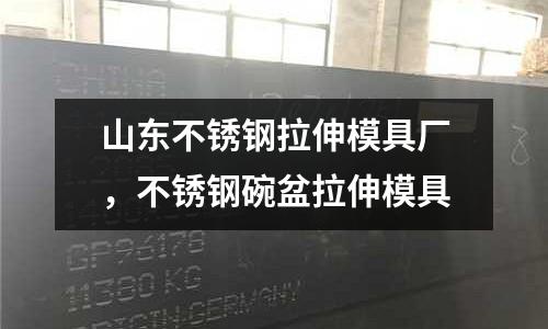 山東不銹鋼拉伸模具廠,不銹鋼碗盆拉伸模具