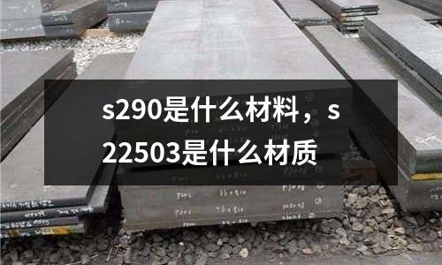 s290是什么材料，s22503是什么材質
