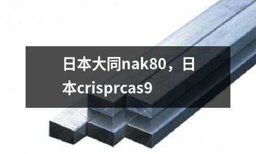 日本大同nak80，日本crisprcas9
