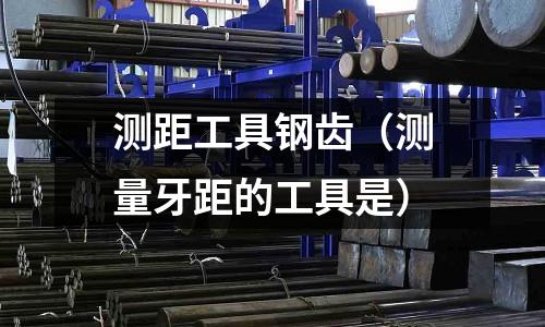 測距工具鋼齒（測量牙距的工具是）