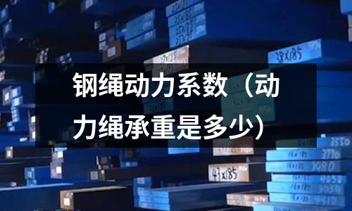 鋼繩動力系數（動力繩承重是多少）