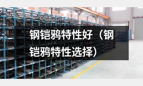 鋼鎧鴉特性好（鋼鎧鴉特性選擇）