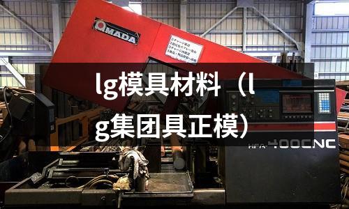 lg模具材料(lg集團(tuán)具正模)