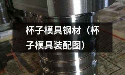 杯子模具鋼材（杯子模具裝配圖）