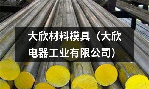 大欣材料模具(大欣電器工業(yè)有限公司)