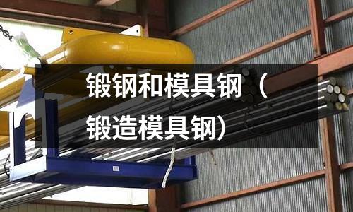 鍛鋼和模具鋼（鍛造模具鋼）