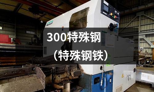 300特殊鋼(特殊鋼鐵)
