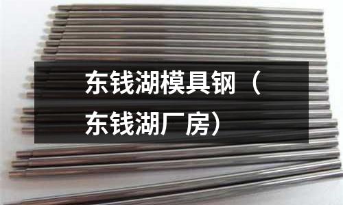 東錢湖模具鋼（東錢湖廠房）