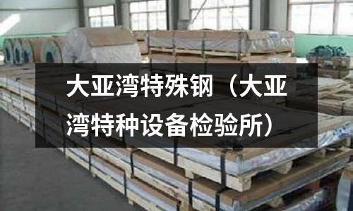 大亞灣特殊鋼（大亞灣特種設(shè)備檢驗(yàn)所）