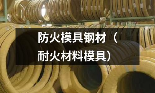防火模具鋼材（耐火材料模具）