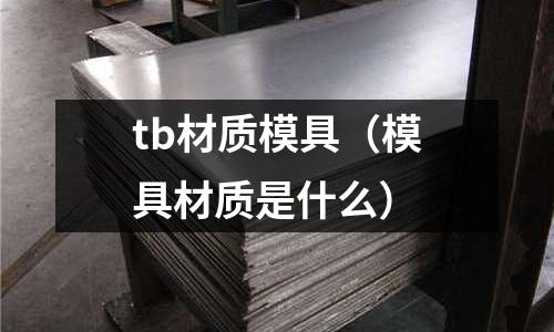 tb材質模具（模具材質是什么）