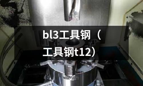 bl3工具鋼（工具鋼t12）