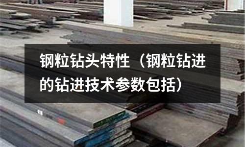 鋼粒鉆頭特性（鋼粒鉆進的鉆進技術參數包括）