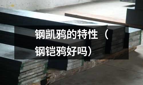 鋼凱鴉的特性（鋼鎧鴉好嗎）