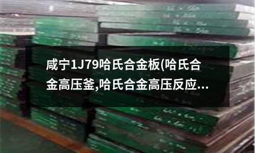 咸寧1J79哈氏合金板(哈氏合金高壓釜,哈氏合金高壓反應釜)