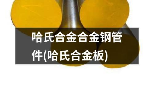 哈氏合金合金鋼管件(哈氏合金板)