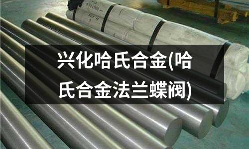 興化哈氏合金(哈氏合金法蘭蝶閥)