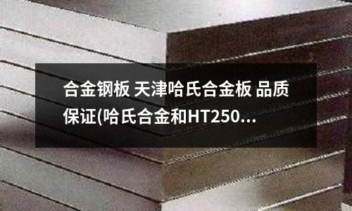 合金鋼板 天津哈氏合金板 品質保證(哈氏合金和HT250可以焊接嗎？)