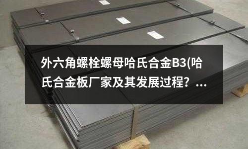 外六角螺栓螺母哈氏合金B(yǎng)3(哈氏合金板廠家及其發(fā)展過(guò)程？)