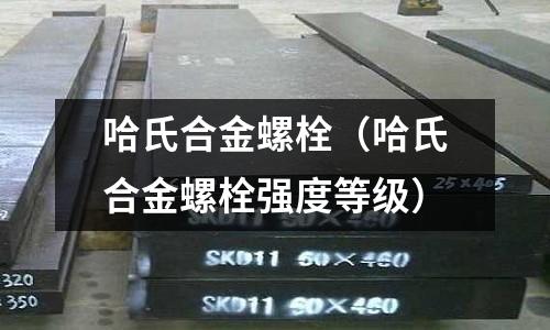 哈氏合金螺栓（哈氏合金螺栓強度等級）