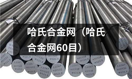 哈氏合金網（哈氏合金網60目）