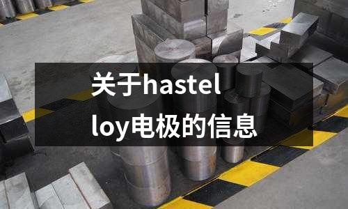 關于hastelloy電極的信息