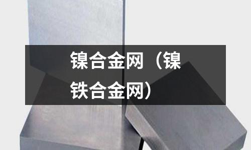 鎳合金網(鎳鐵合金網)