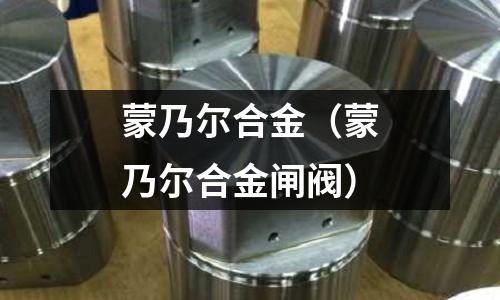 蒙乃爾合金（蒙乃爾合金閘閥）