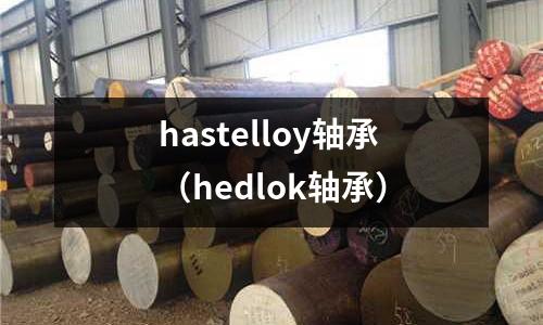 hastelloy軸承（hedlok軸承）