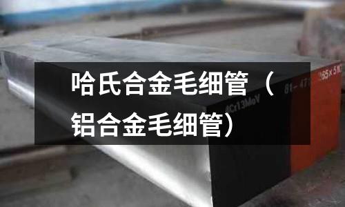 哈氏合金毛細管（鋁合金毛細管）