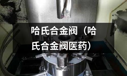 哈氏合金閥（哈氏合金閥醫藥）