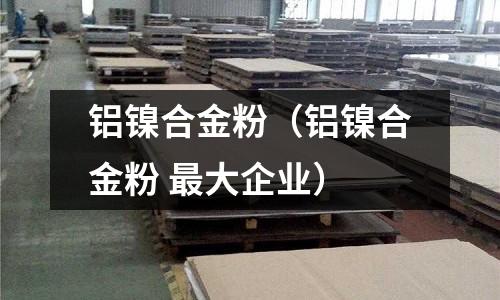 鋁鎳合金粉（鋁鎳合金粉 最大企業）