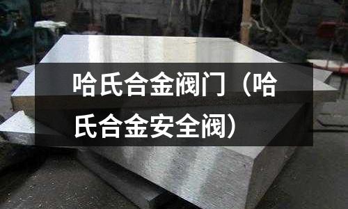 哈氏合金閥門(哈氏合金安全閥)