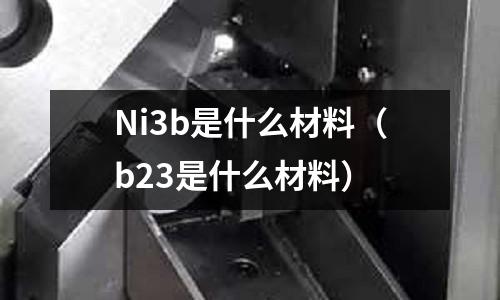 Ni3b是什么材料（b23是什么材料）