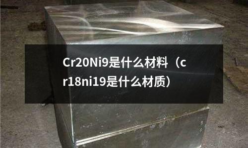 Cr20Ni9是什么材料（cr18ni19是什么材質）