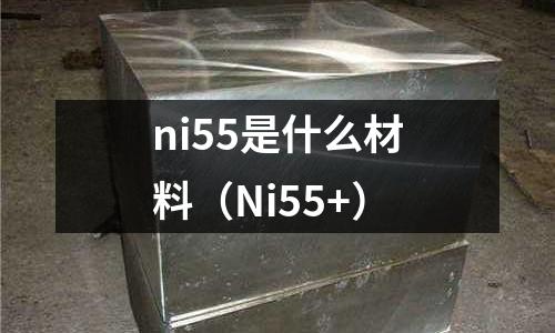 ni55是什么材料(Ni55+)